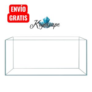 Photoroom 20260407 173301