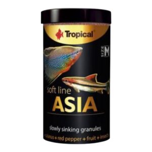 Soft Line Asia M.jpg