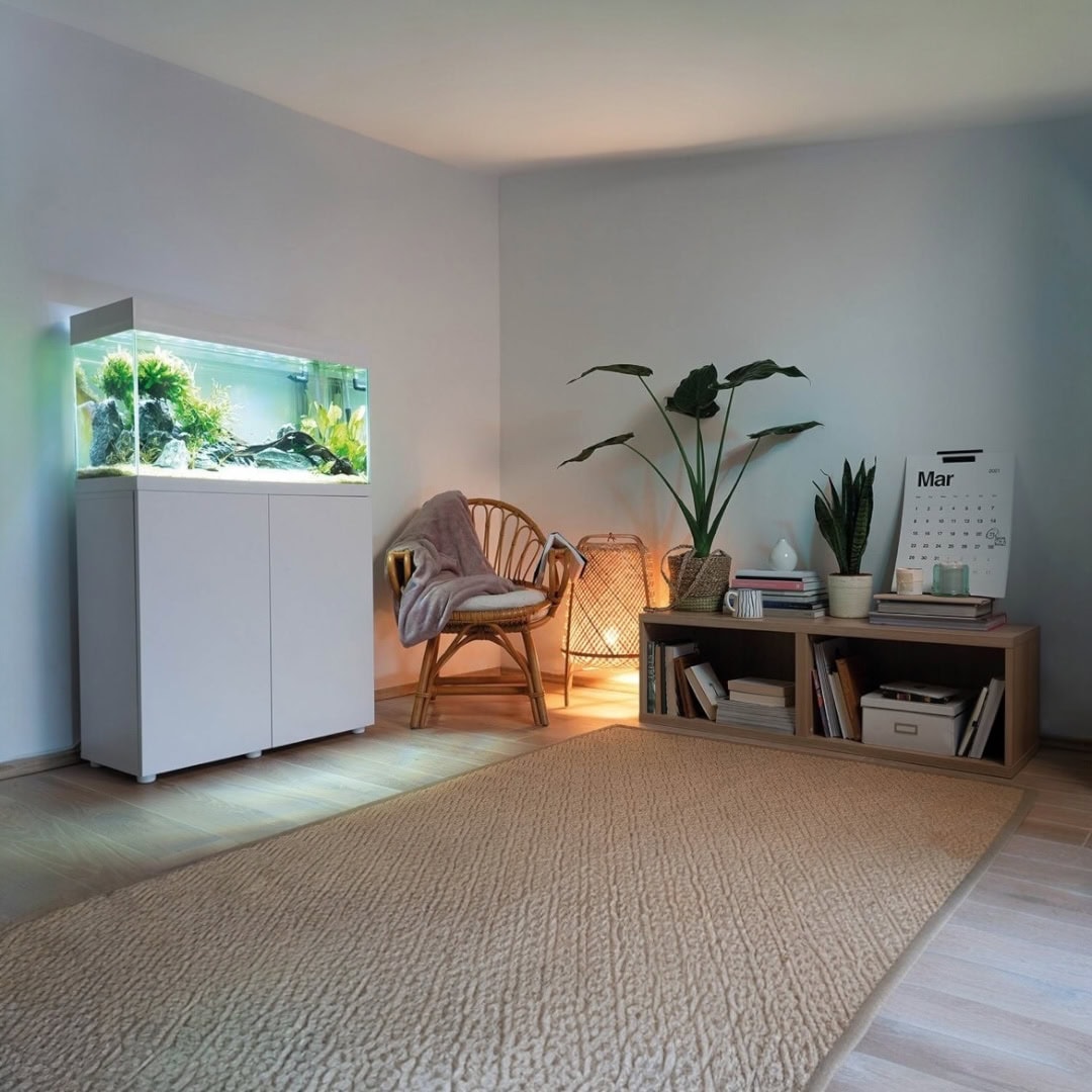 Photoroom 20251027 184443