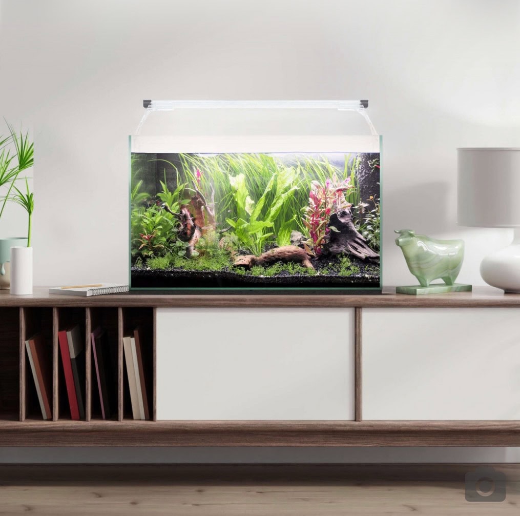 Kit Aqua Light Glass 50 3.jpg