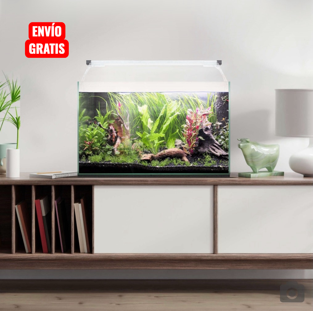 Photoroom 20260407 204607