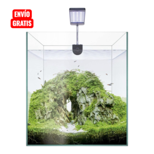 Photoroom 20260407 205157