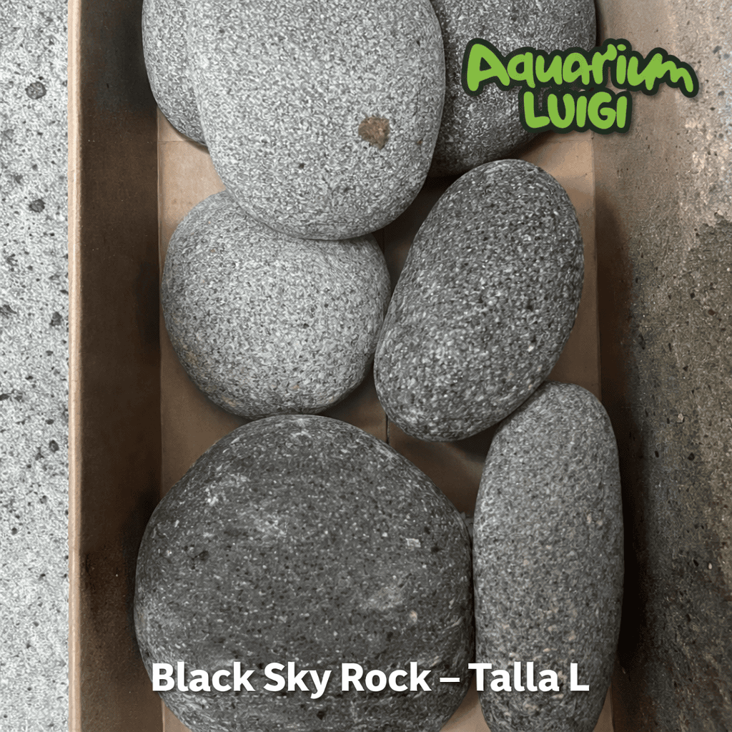 Black Sky Rock - Talla L