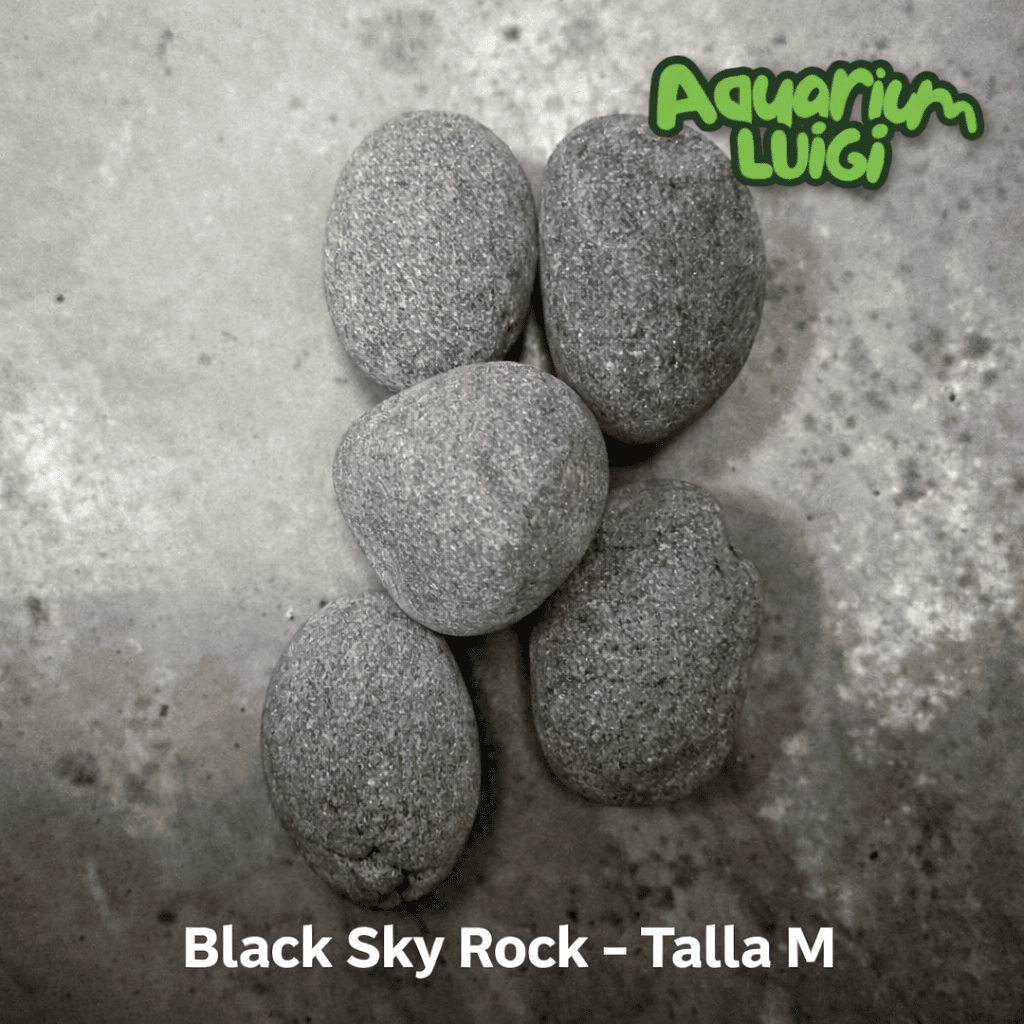 Black Sky Rock - Talla M