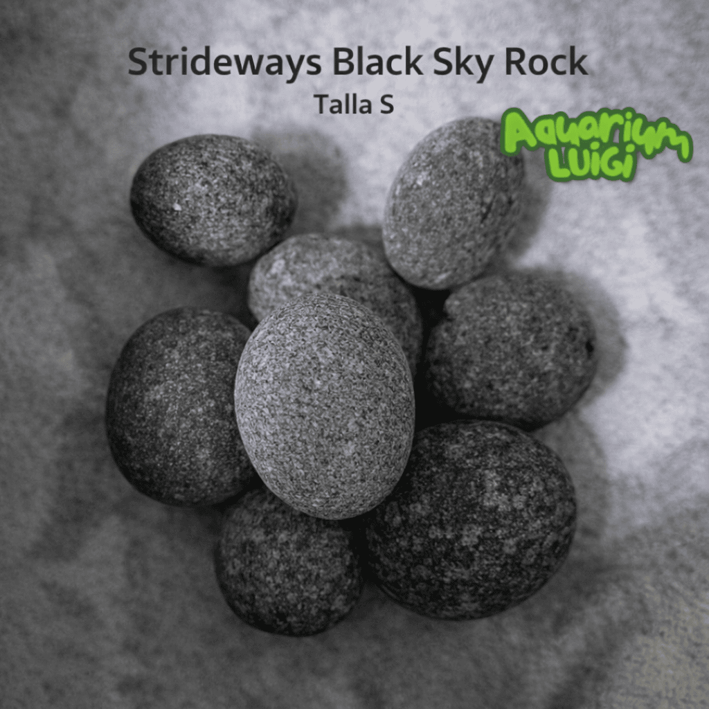 Black Sky Rock - Talla S