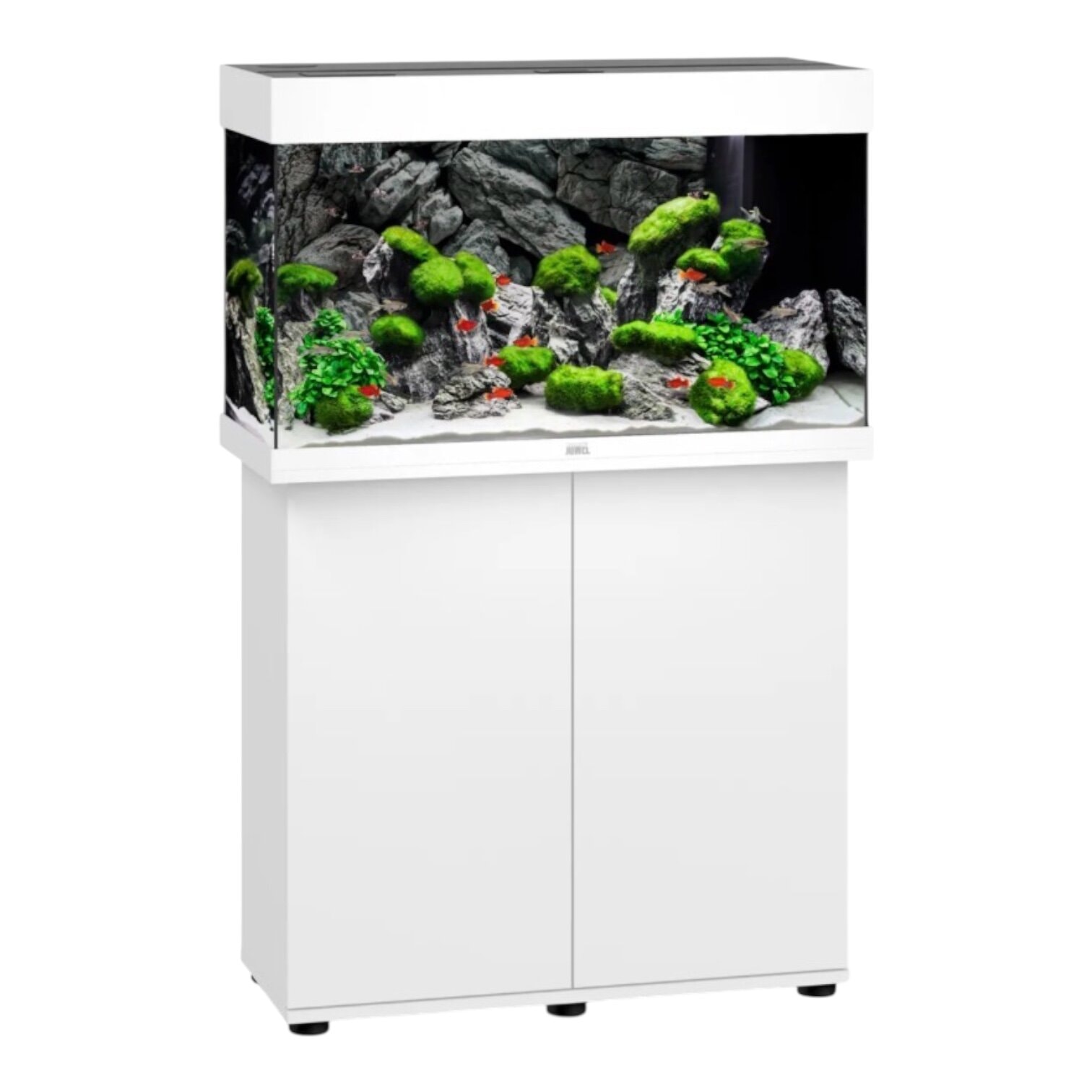 KitRio125 1.jpg