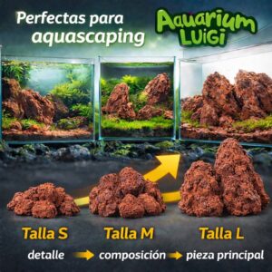 Photoroom 20260327 192515