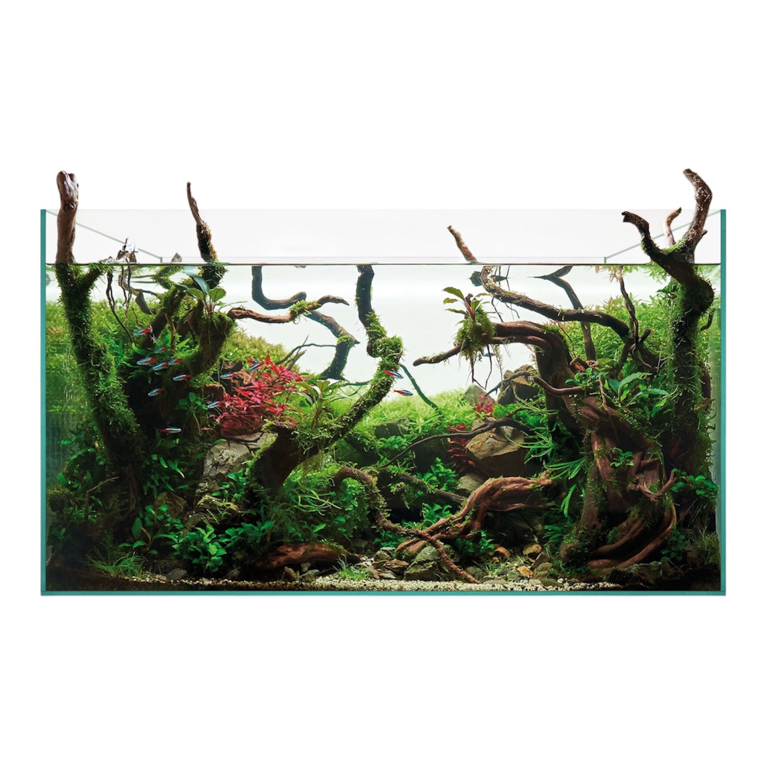 Urna Aquascape 145