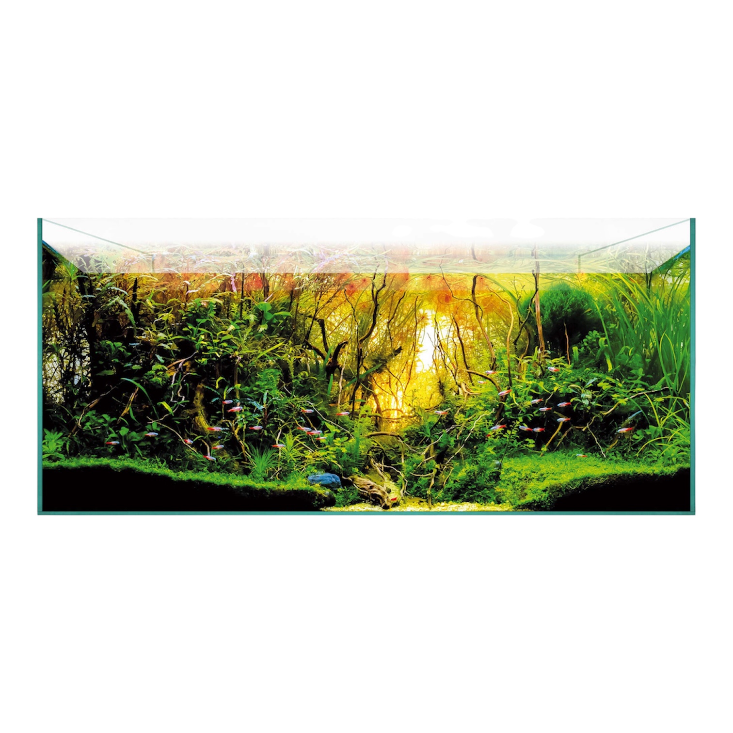 Urna Aquascape 180