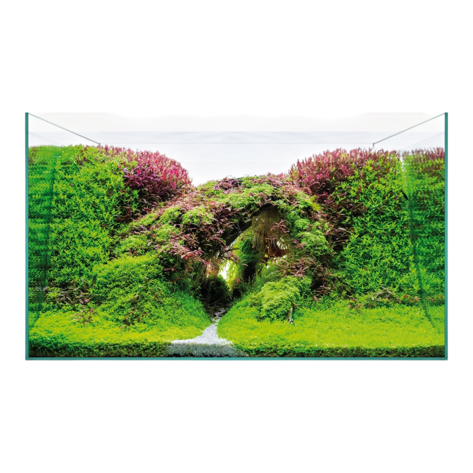Urna Aquascape 75