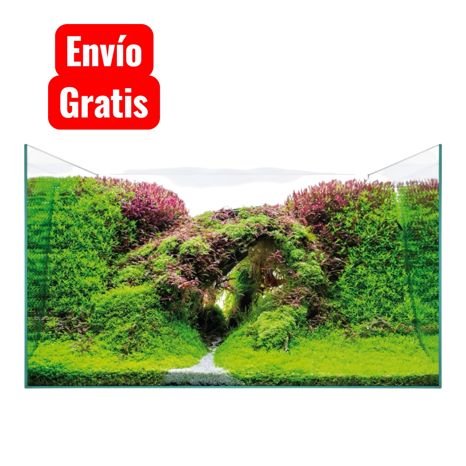 Urna Aquascape Envío Gratis.jpg